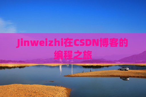 Jinweizhi在CSDN博客的编程之旅
